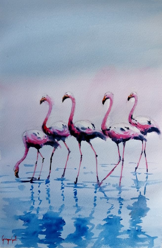 Pink Flamingos Wading by Giorgio Gosti — canvas wall art
