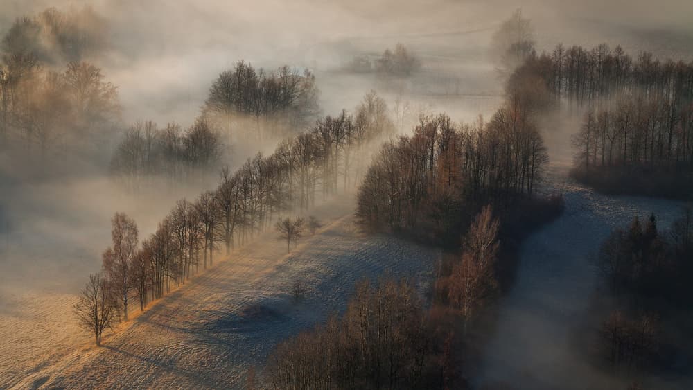 Misty Golden Morning by Izabela Laszewska-Mitrega / Darek Mitręga — canvas wall art