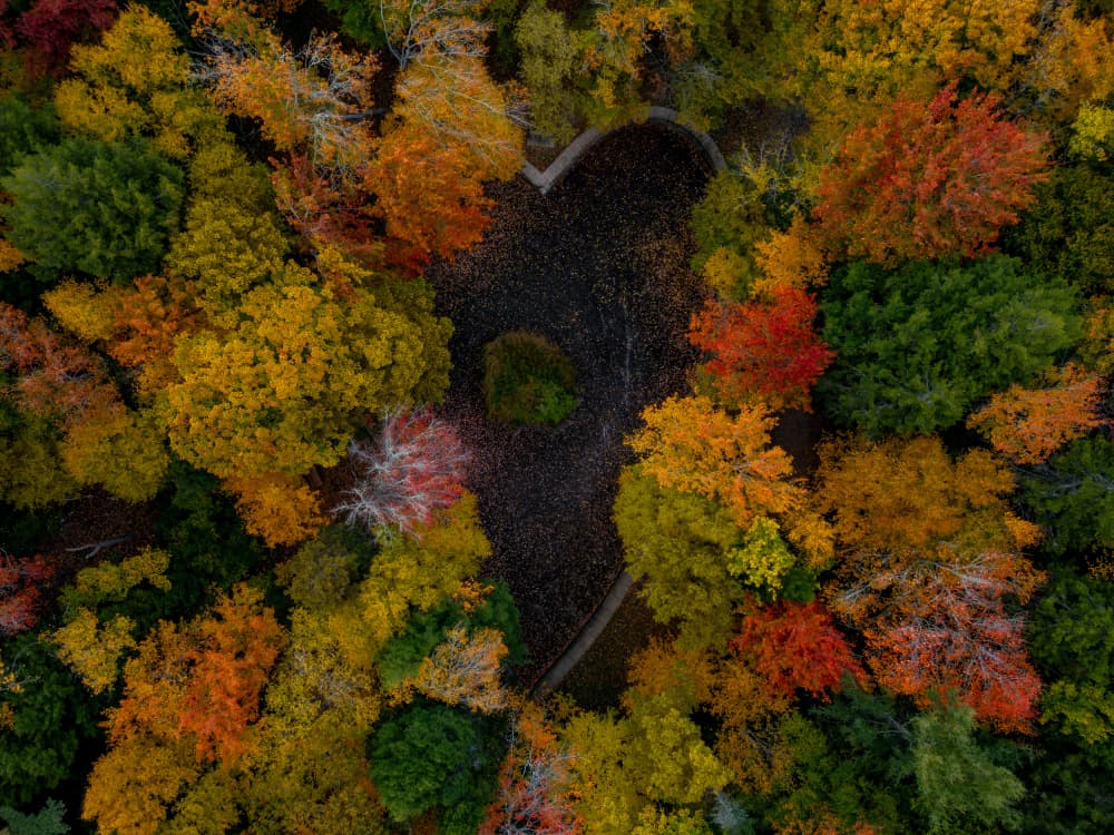 Colorful Autumn Heart by Ambar Saha — canvas wall art