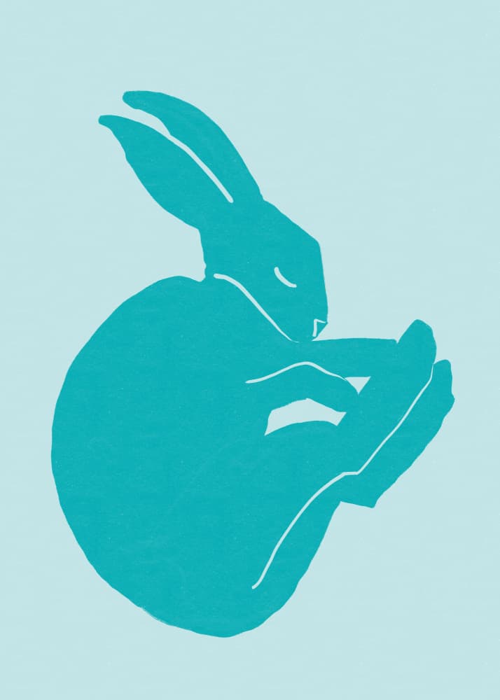 Serene Sleeping Rabbit by Sharyn Bursic — canvas wall art