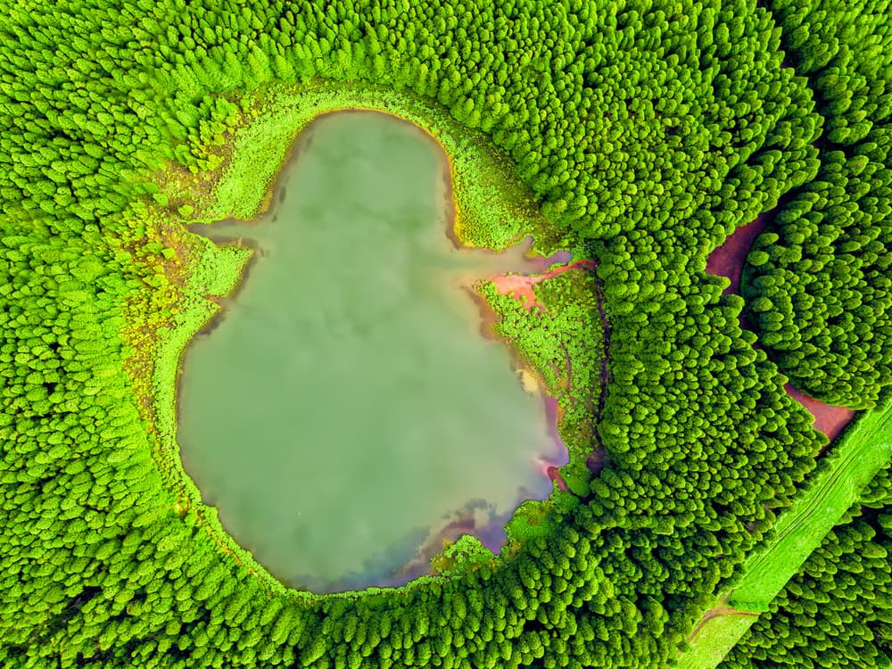 Forest Heart Lake by Alvaro Roxo — canvas wall art