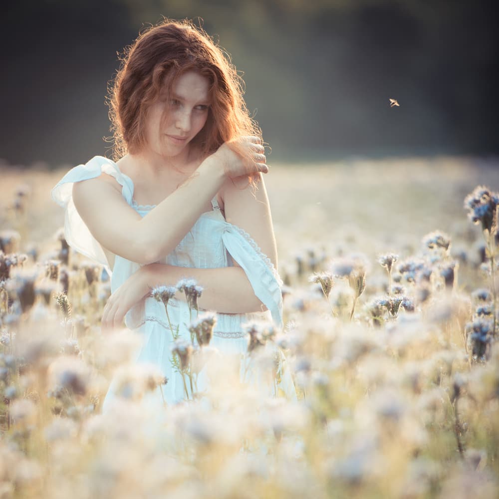 Dreamy Woman Golden Field by Aleksander Poniewierski — canvas wall art
