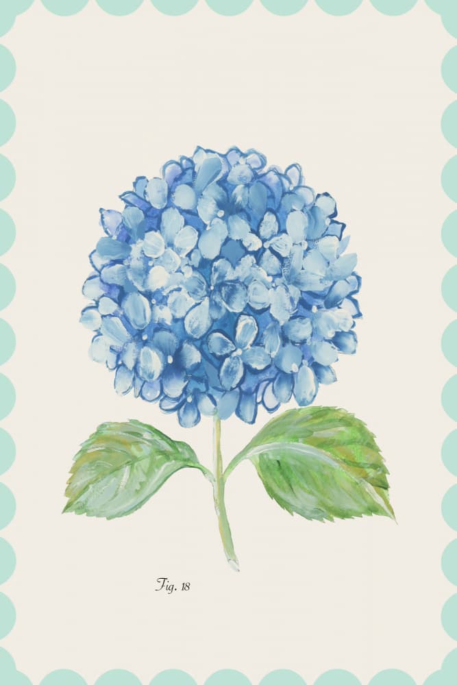 Vintage Blue Hydrangea Bloom by cartissi — canvas wall art