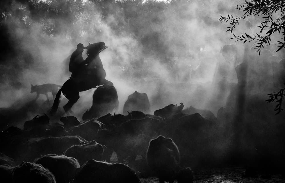 Horseman In The Mist by Gilcan Mete — canvas wall art