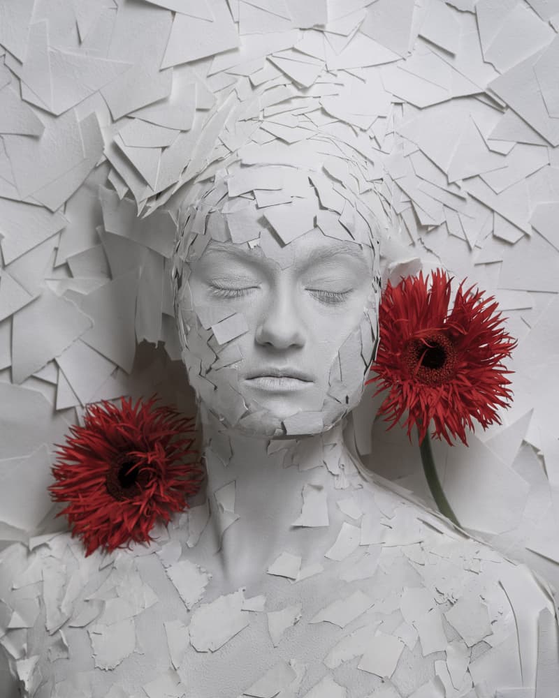 Fragile Beauty Red Blooms by Yasin Hasanian — canvas wall art