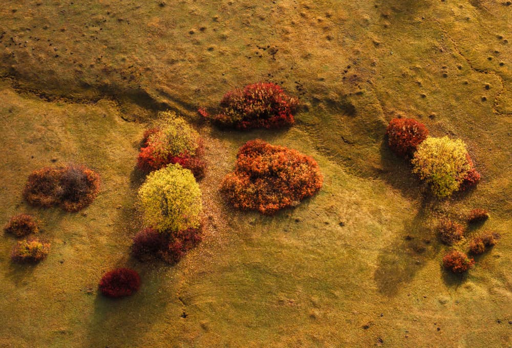Autumn Aerial Landscape by MIN LI — canvas wall art