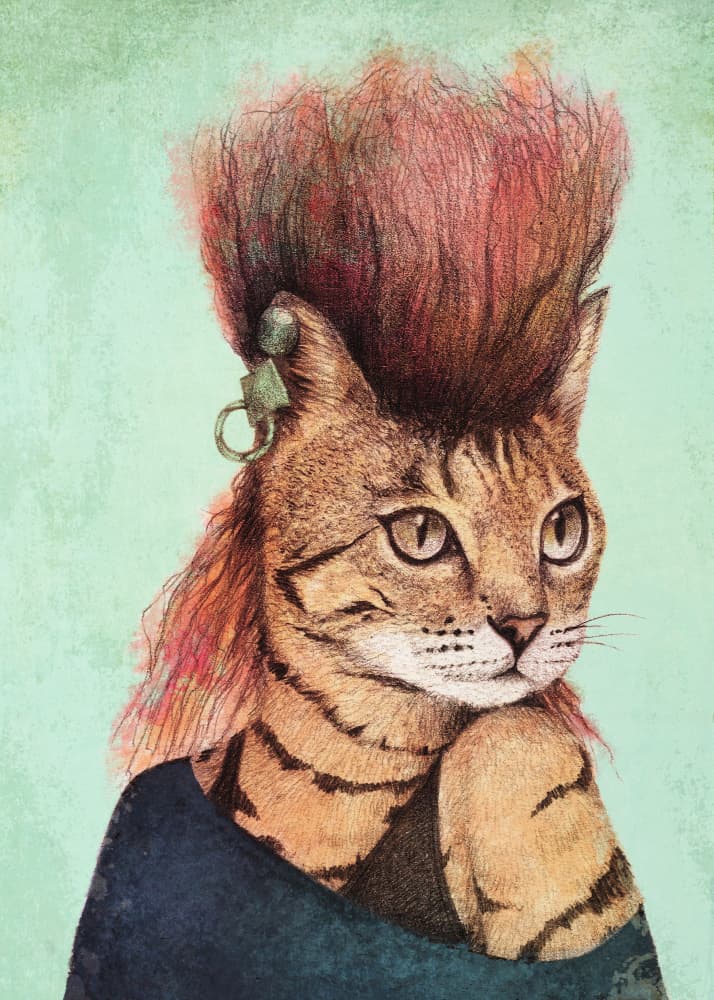 Stylish Tabby Cat by Mike Koubou — canvas wall art