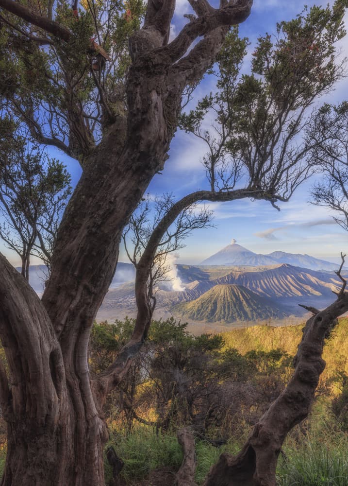 Volcanic Peaks Sunrise by ANNA AN — canvas wall art