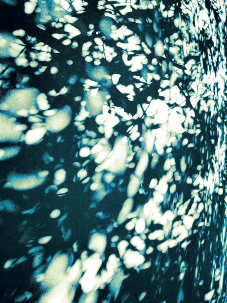 Abstract Leaf Shadows by Angelo Cerantola — canvas wall art