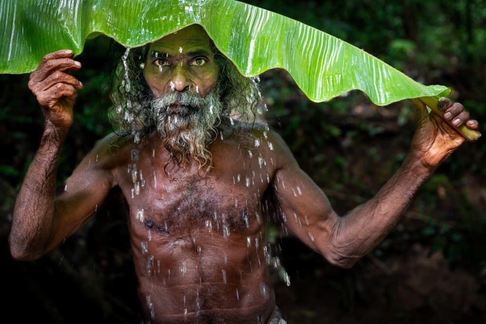 Jungle Man Under Leaf by Ali Khataw — canvas wall art