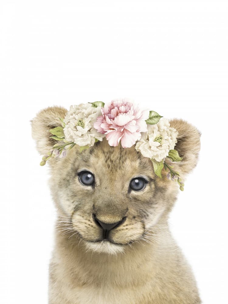 Baby Lion Flower Crown by Lila &amp; Lola — canvas wall art
