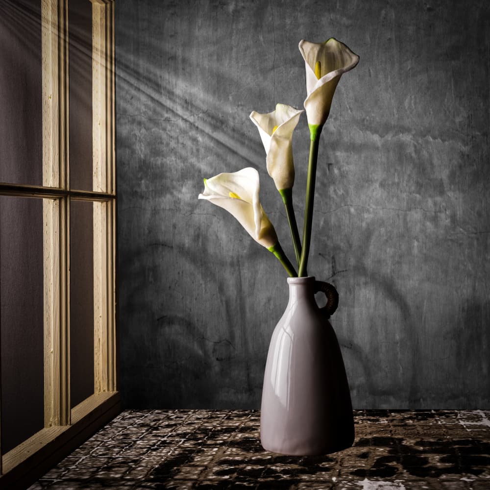 Calla Lilies In Sunlight by Rob Ryan — canvas wall art