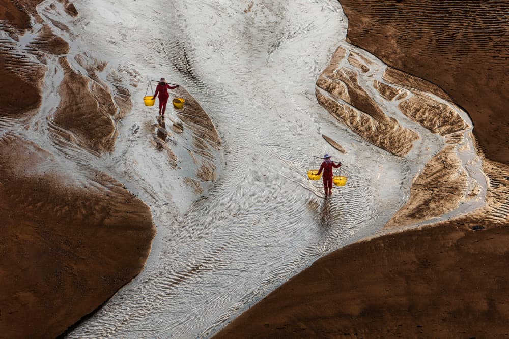 Women of the Salt Fields by Shin Woo Ryu — canvas wall art