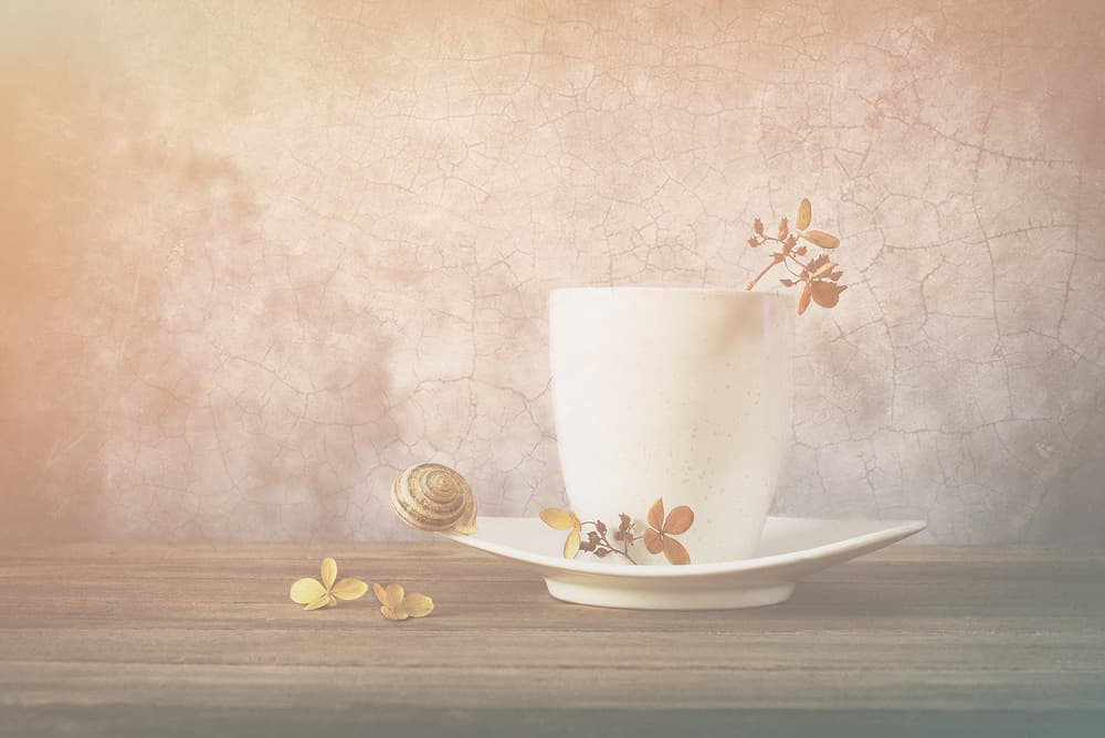 Quiet Snail Teacup by Sophie Pan — canvas wall art