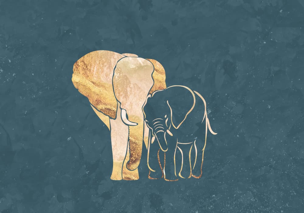 Golden Elephant Pair by Sarah Manovski — canvas wall art