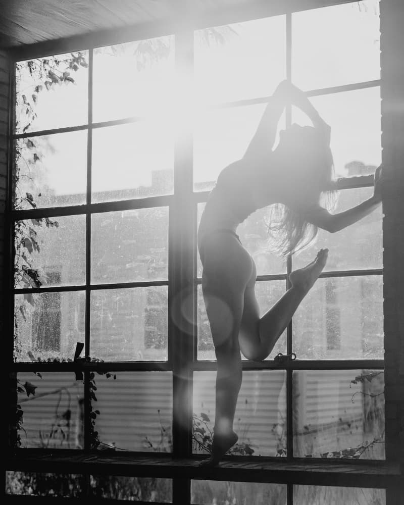 Graceful Window Silhouette by Tyler McAuley — canvas wall art