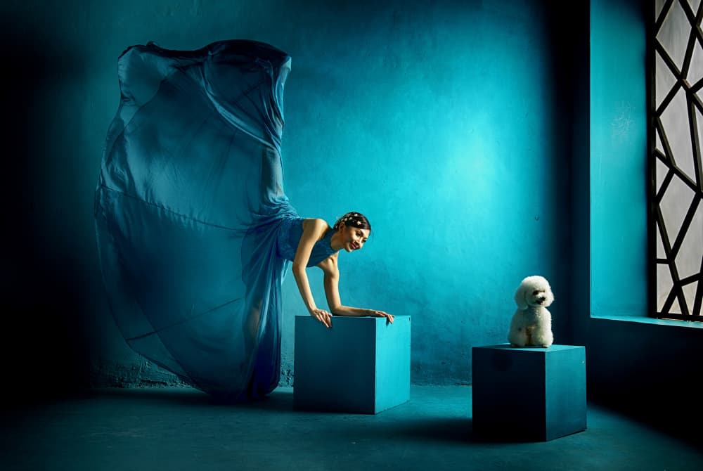 Serene Blue Companion by Angela Muliani Hartojo — canvas wall art