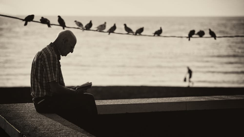 Elderly Man Reading Ocean by Dominic Dähncke — canvas wall art