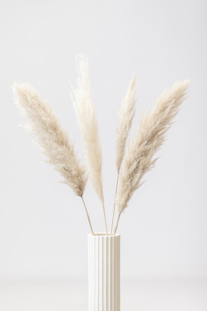 Pampas Grass Vase by Pictufy Studio III — canvas wall art