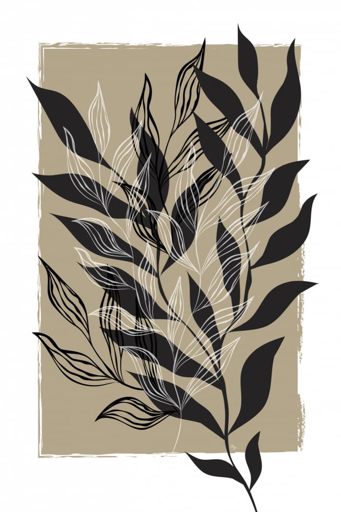 Monochrome Botanical Leaves by Martina — canvas wall art