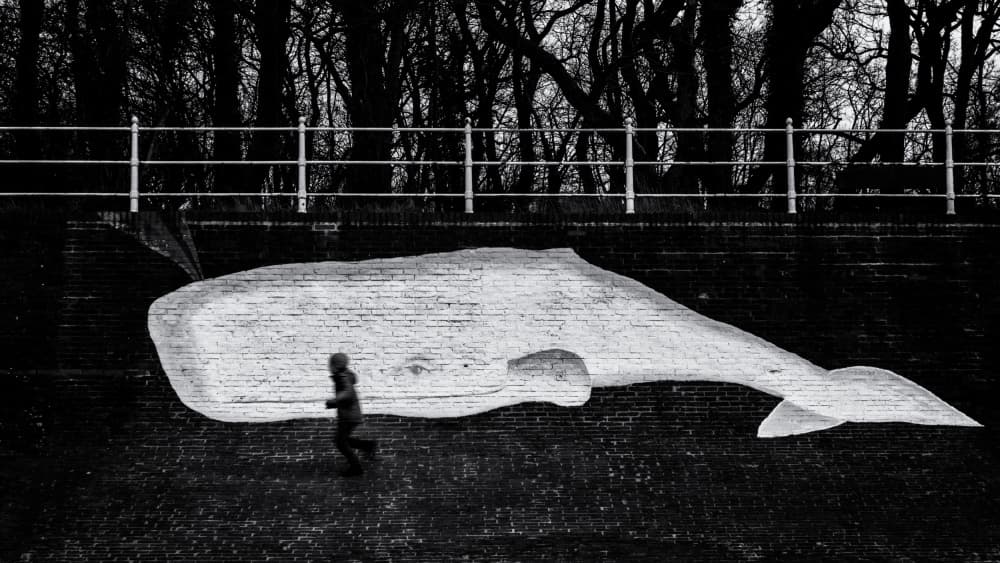 Running Child Whale Mural by Andreas Klesse — canvas wall art