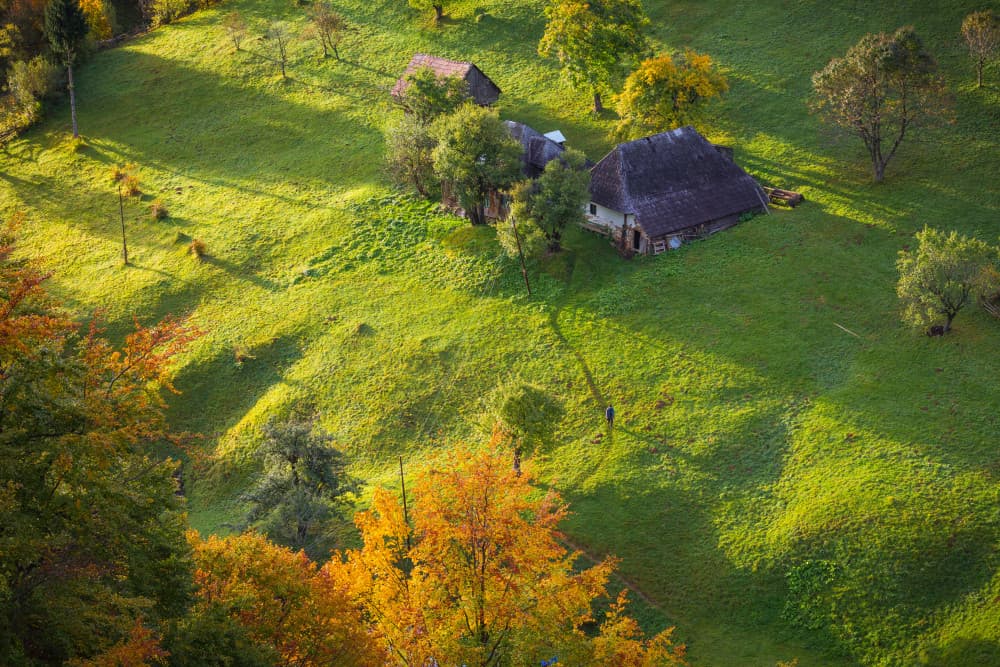 Golden Rural Landscape by Adrian Popan — canvas wall art