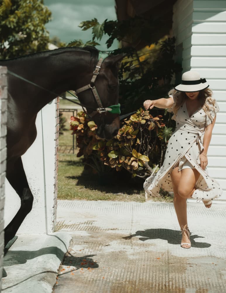 Woman and Horse Connection by Yasin Hasanian — canvas wall art