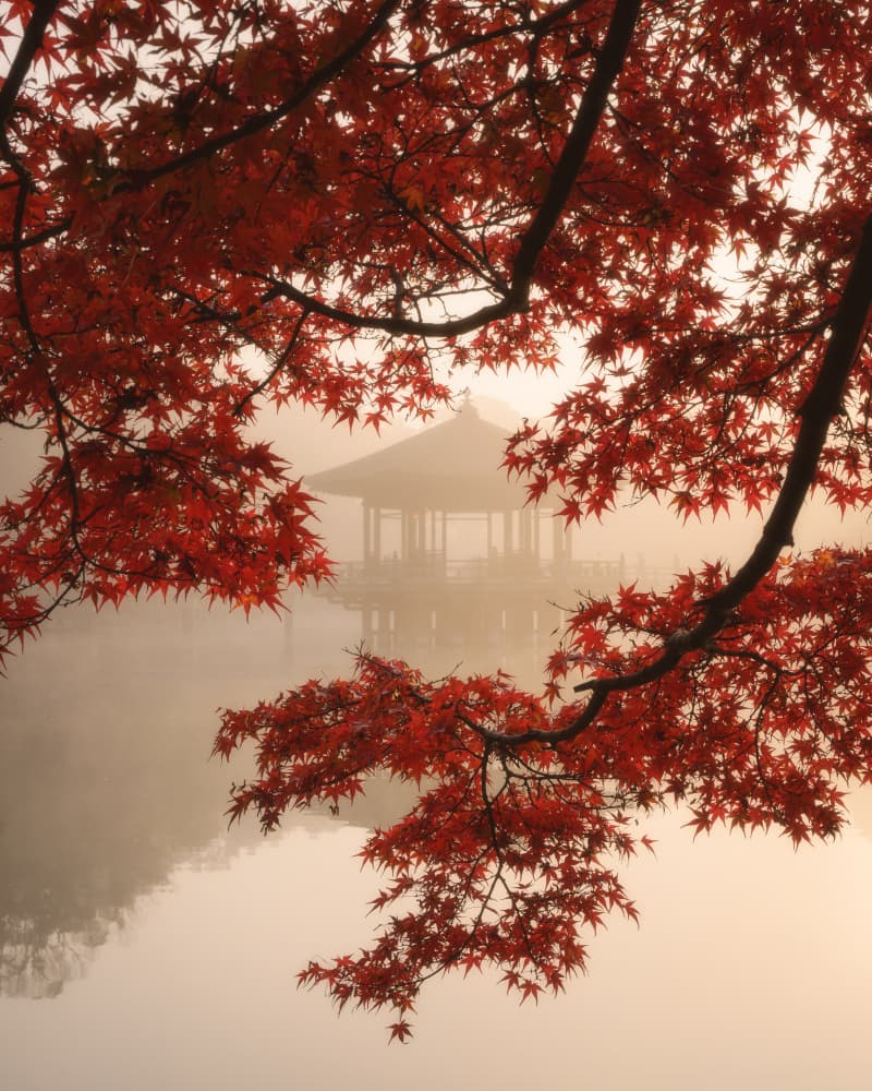 Misty Autumn Gazebo by Dmitry Razr — canvas wall art