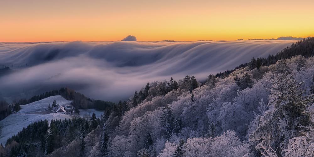 Golden Valley Fog by Judith Kuhn — canvas wall art