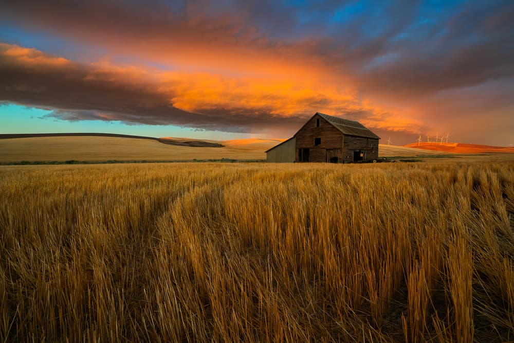 Dramatic Barn Sunset Field by John Fan — canvas wall art