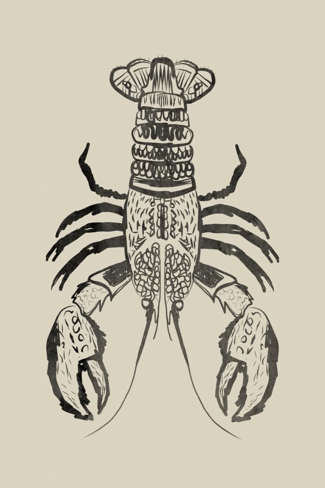 Rustic Lobster Drawing by casa cartissi — canvas wall art