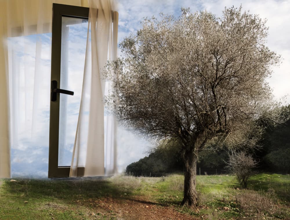Open Window Landscape by Rachel Pansky — canvas wall art