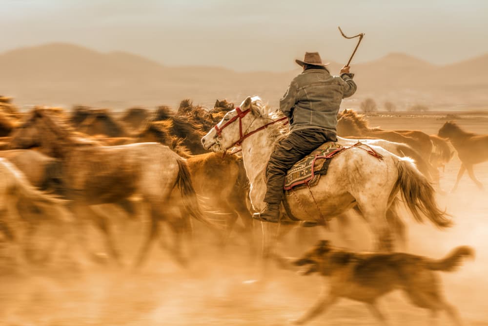 Dusty Horse Herding by Mustafa öztürk — canvas wall art