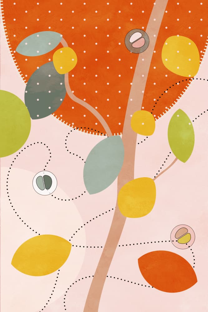 Friendly Colors Hilma 5 by Ana Rut Bre — canvas wall art