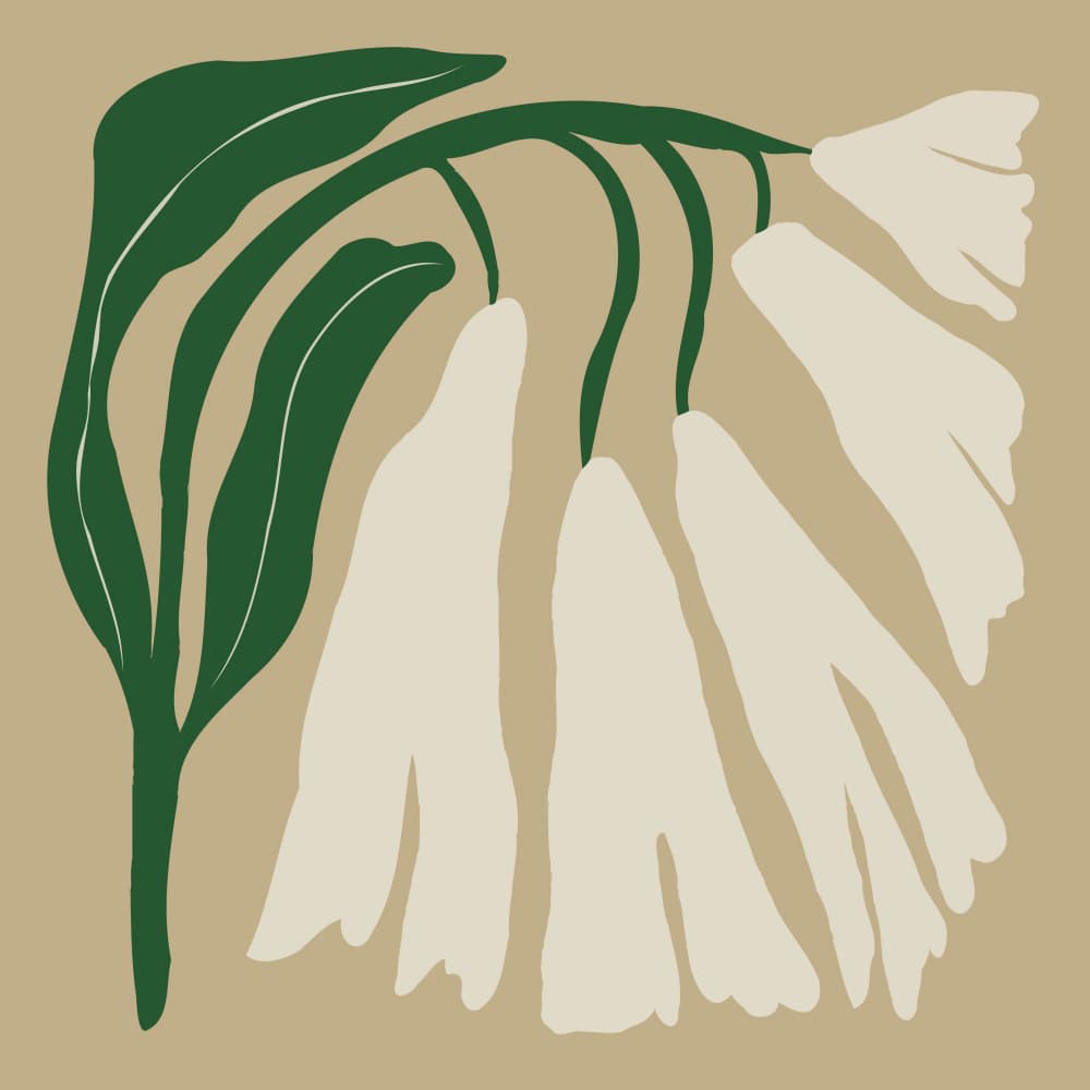 Green Leaves White Flowers by Miho Art Studio — canvas wall art