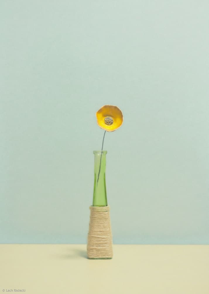 Green Vase Yellow Flower by Lech Radecki — canvas wall art
