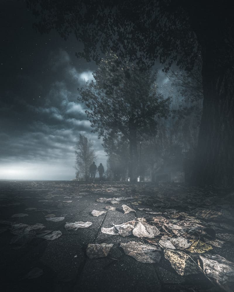 Misty Autumn Path by Andrea Fraccaroli — canvas wall art