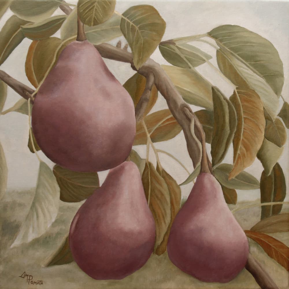 Purple Pears On Branch by Angeles M. Pomata — canvas wall art
