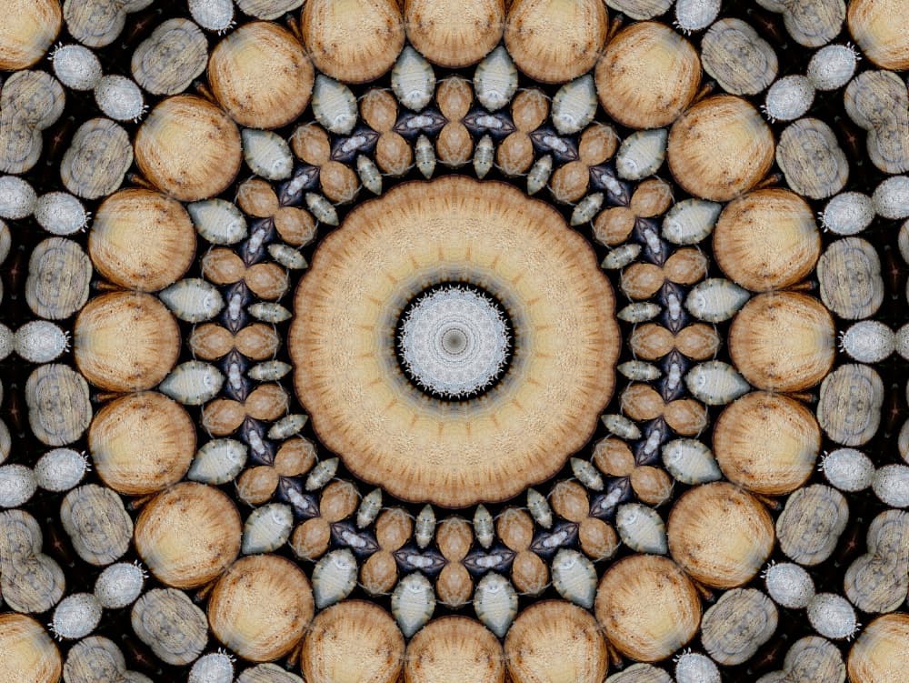 Zen Stone Pattern by Miro Susta — canvas wall art