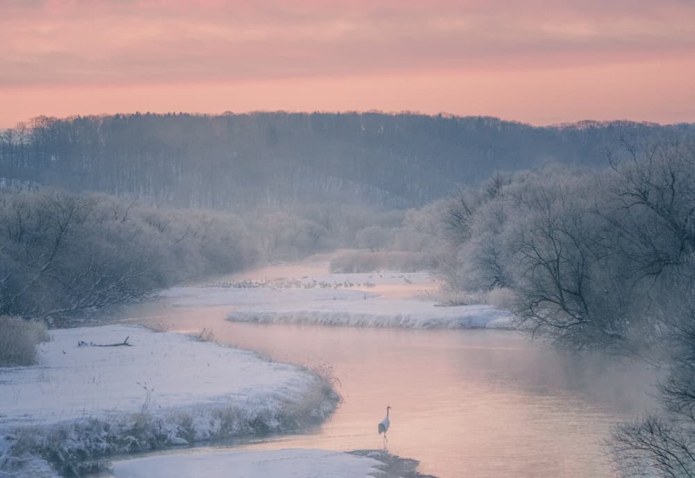 Misty Winter River Cranes by Xiaoyuan Xu — canvas wall art
