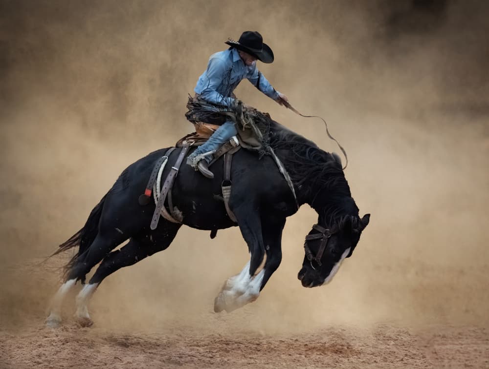 Rodeo Cowboy Bucking Horse by Jane Lyons — canvas wall art
