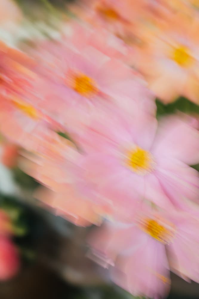 Moving Flowers 2 by Raisa Zwart — canvas wall art