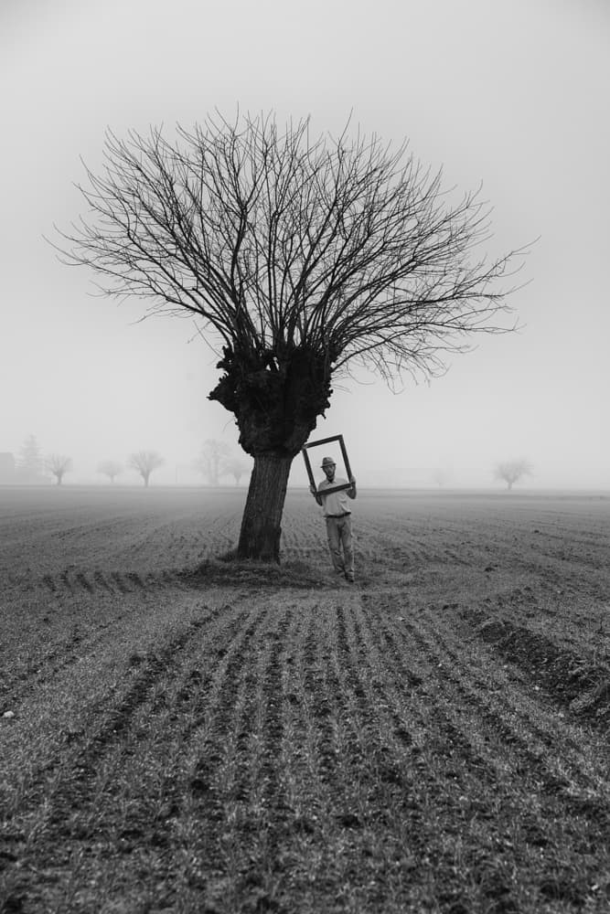 Man Framing a Tree by Carlo Ferrara — canvas wall art