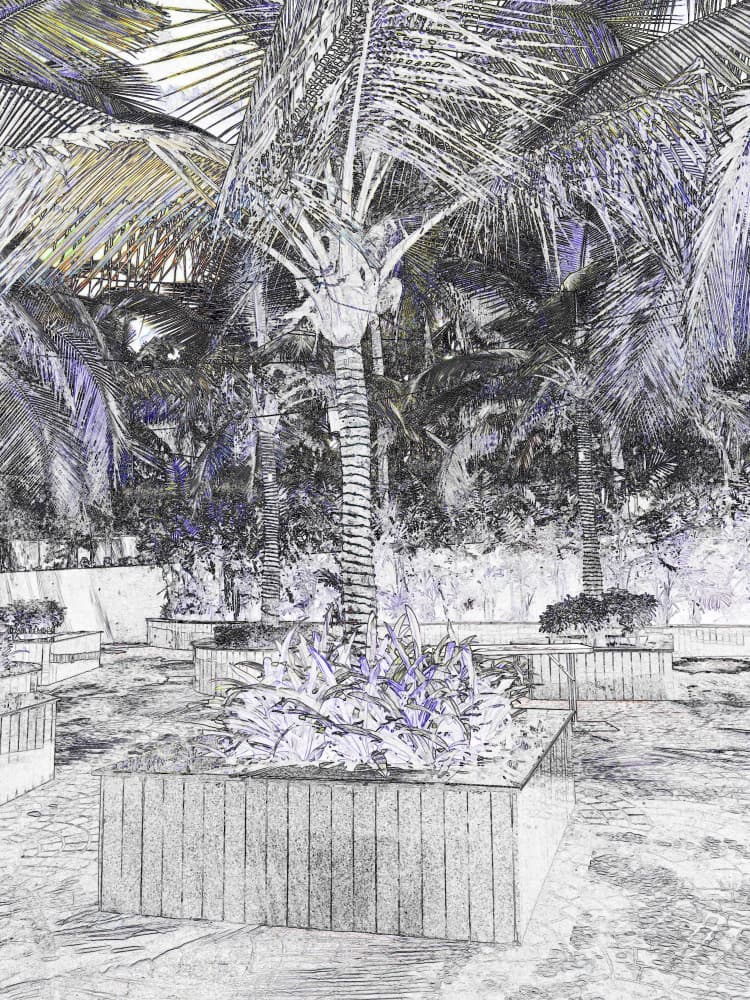 Tropical Palm Garden Sketch by Santhosh ch — canvas wall art