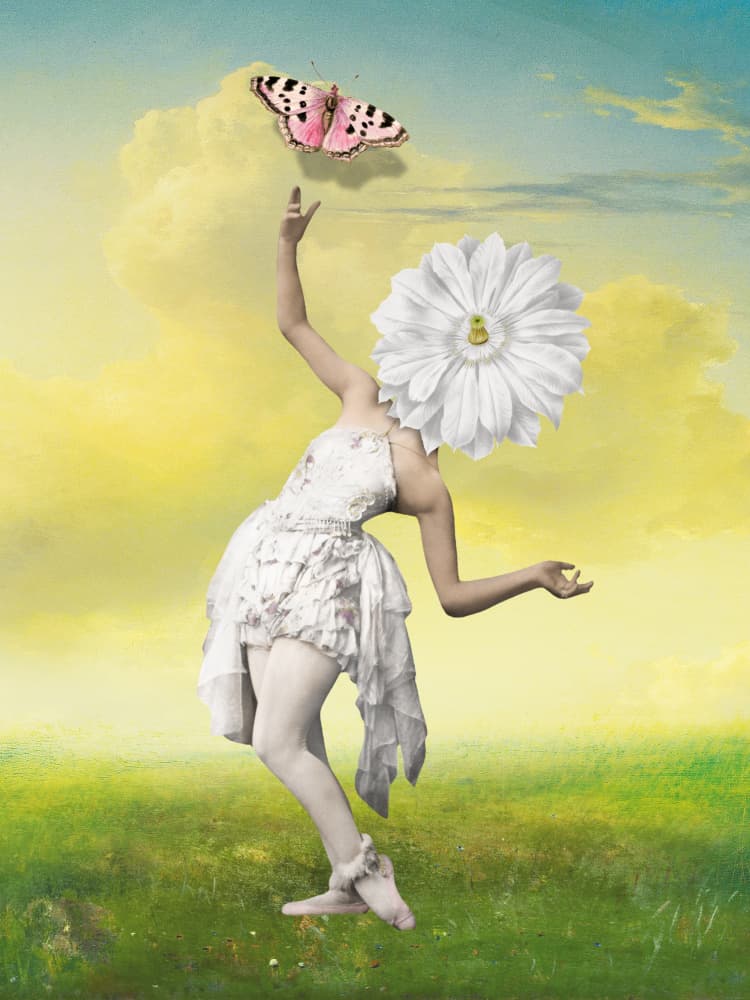 Graceful Flower Butterfly by Marja van den Hurk — canvas wall art