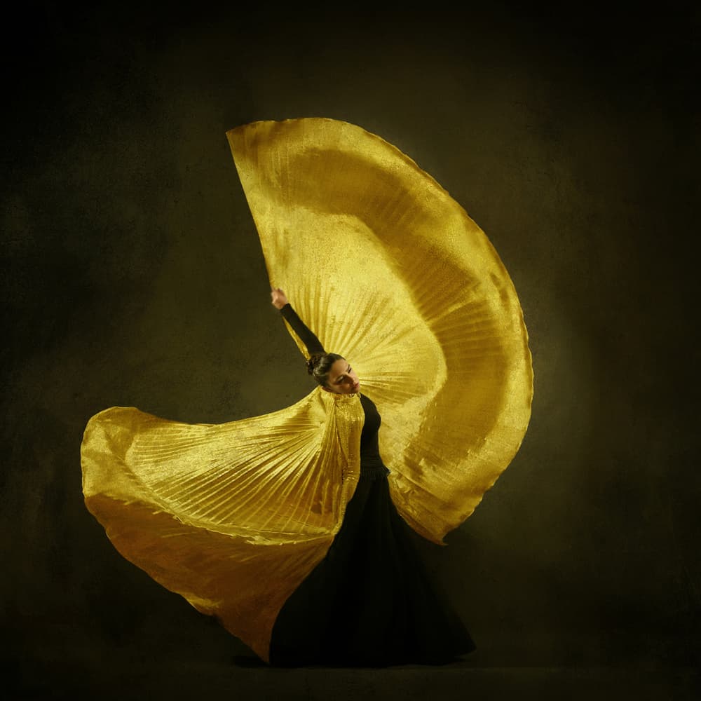 Graceful Golden Dance by Moein Hasheminasab — canvas wall art