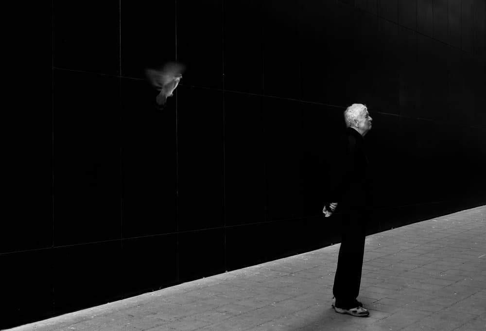 Man and Flying Bird by Anna Niemiec — canvas wall art