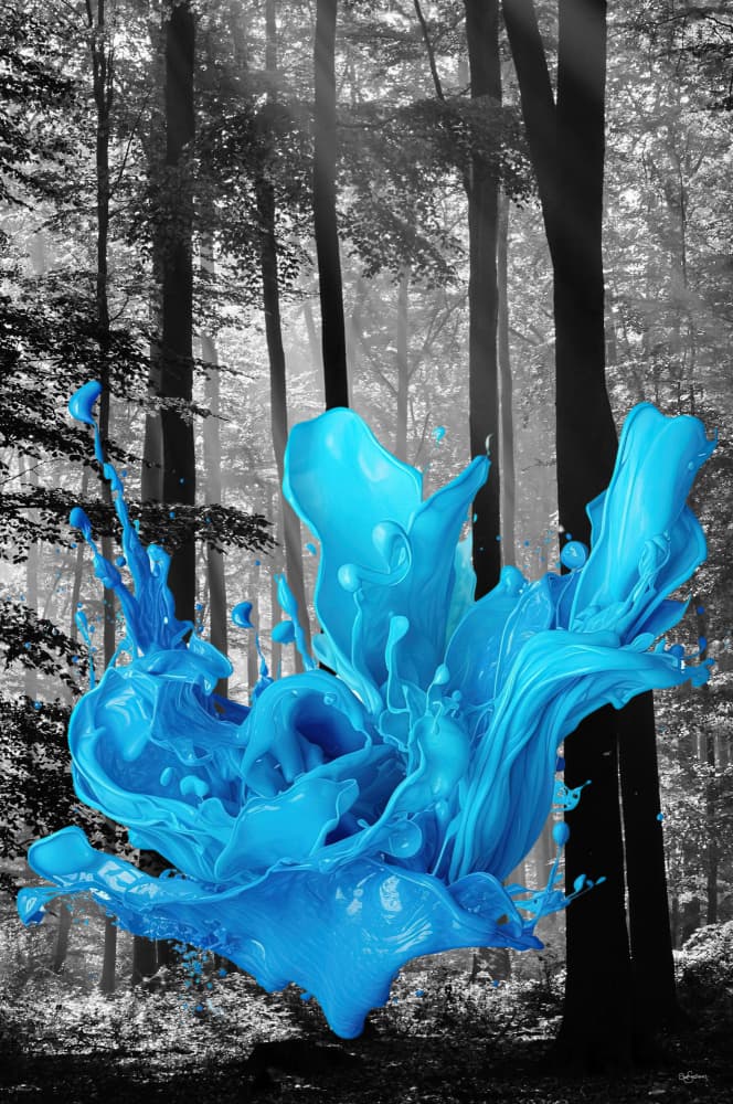 Blue Splash Forest by Sue Skellern — canvas wall art