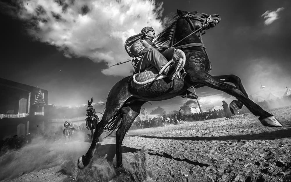 Dramatic Horse Action by Babak Mehrafshar — canvas wall art
