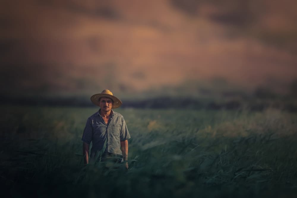 Farmer in Green Field by Sina Pezeshki — canvas wall art